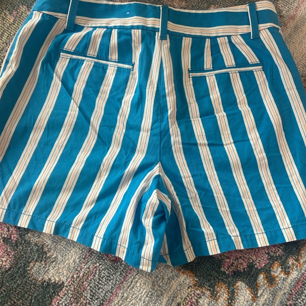 LOFT Blue and White Striped Women Shorts NWT - Picture 2 of 3
